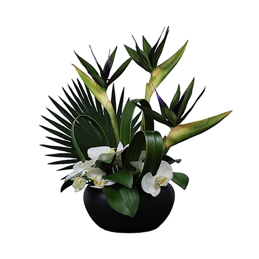 Bird of Paradise Floral Arrangement in Black Vase