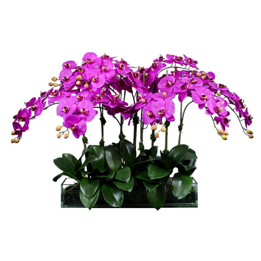 Phalaenopsis Silk Orchid in Glass Rectangle Vase