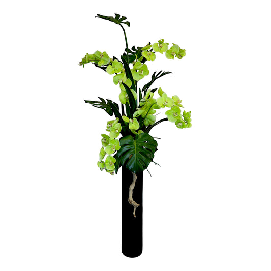 Orchid Arrangement in Black Cylinder Vase