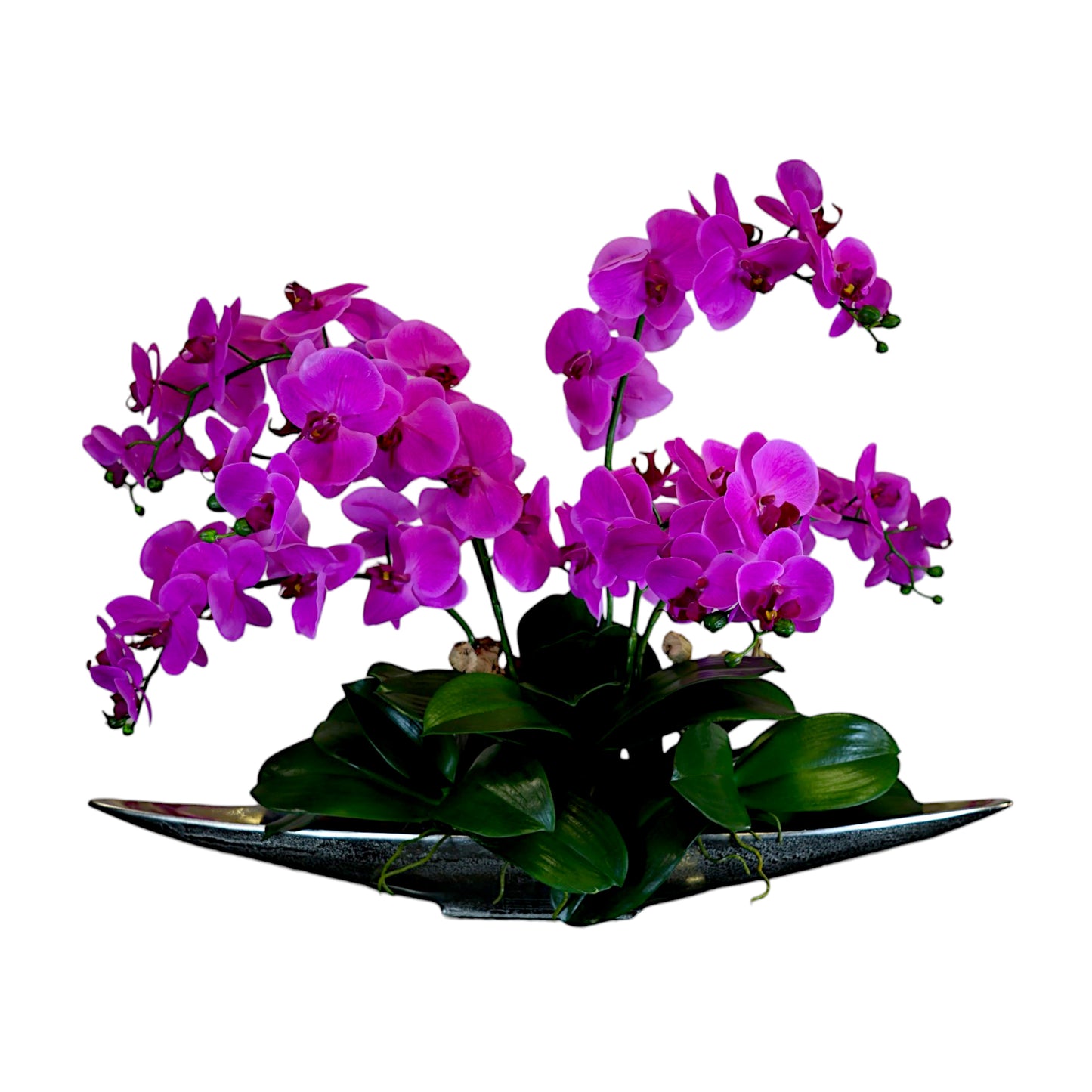 Fuscia Phalaenopsis Silk Orchid Plated