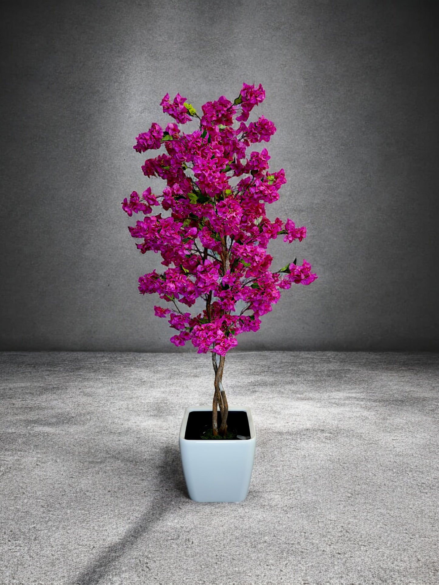 Pink Paperflower Tree without Planter