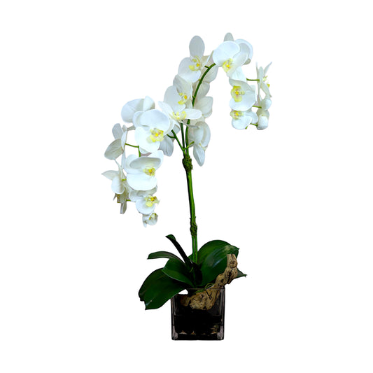 White Phalaenopsis Silk Orchid Glass Vase