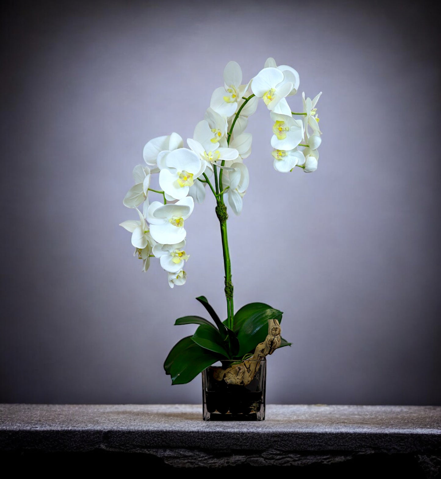 White Phalaenopsis Silk Orchid Glass Vase