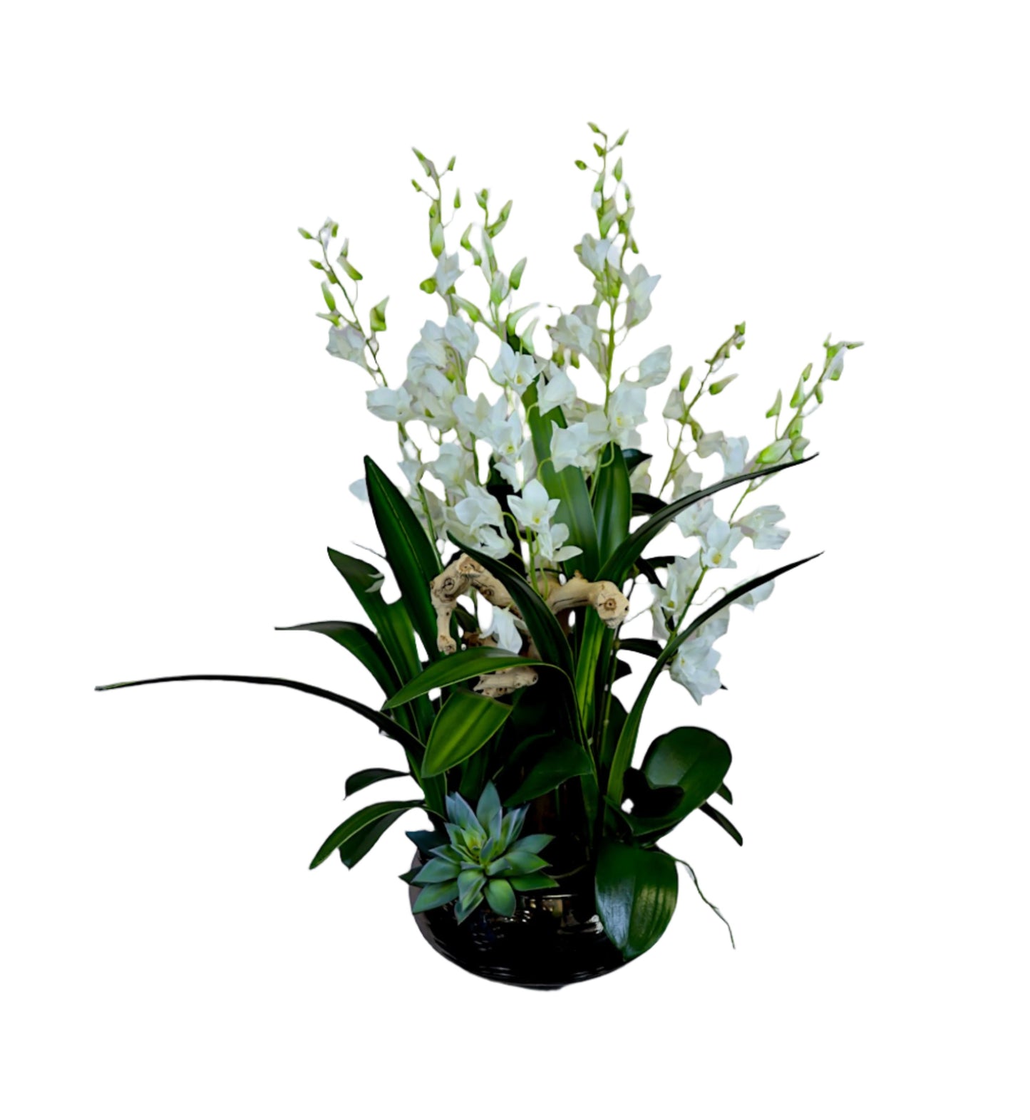 Noble Dendrobium Floral Arrangement in Silver Vase