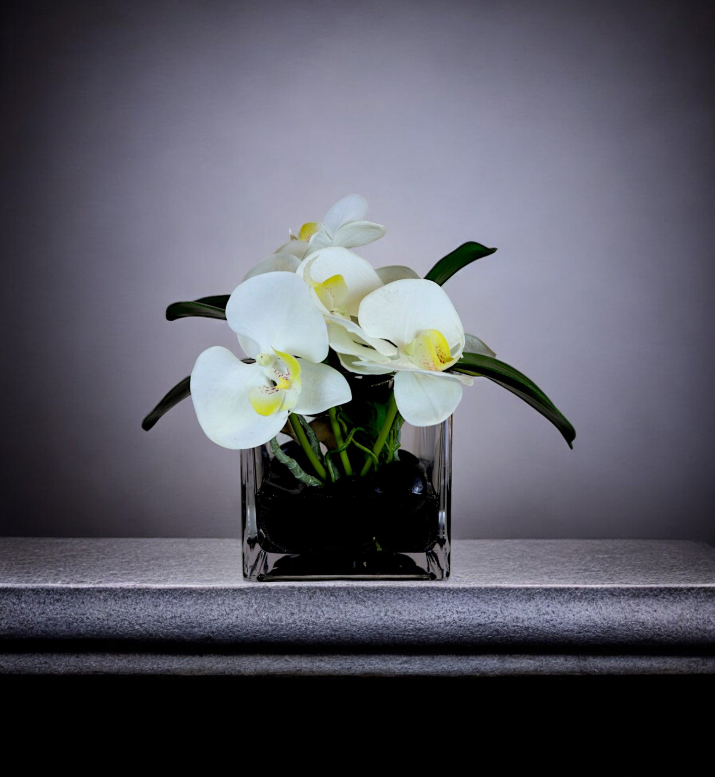 Waterlook Orchid Arrangement in Square Vase