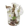 White Phalaenopsis Orchid Glass Cylinder