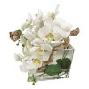 White Phalaenopsis Orchid Square Glass