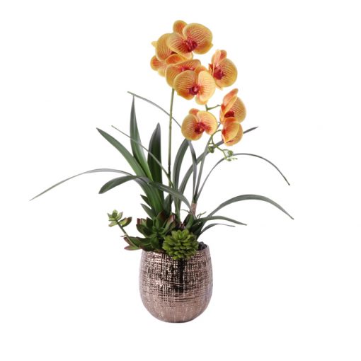 Butter Scotch Phaleonopsis orquid in copper look vase