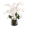 White Phaleanopsis in WaterLook Cylindrical Vase