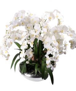 White Phaleanopsis orchid in silver look vase