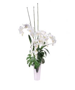 White orchid monstera leaves in silver lookvase